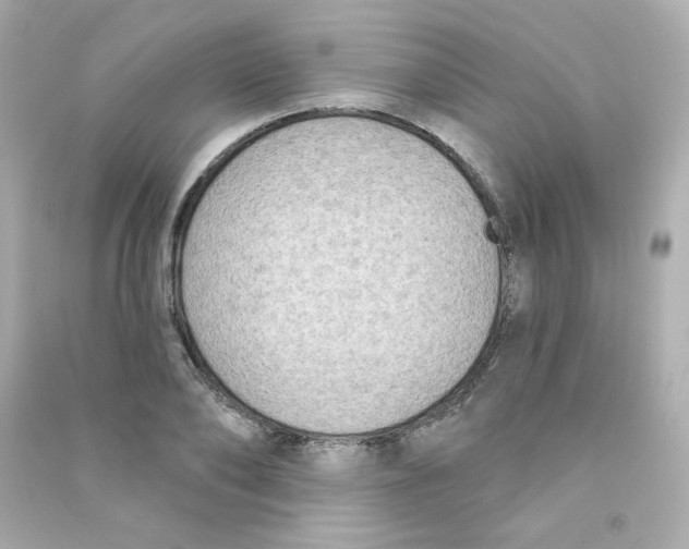 X0000090420886200708101940