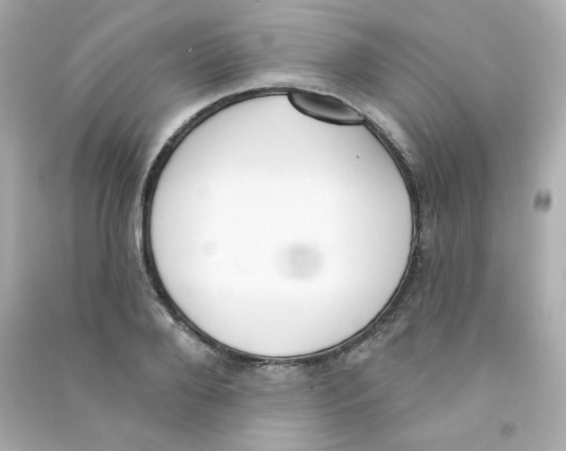 X0000090420888200708101940