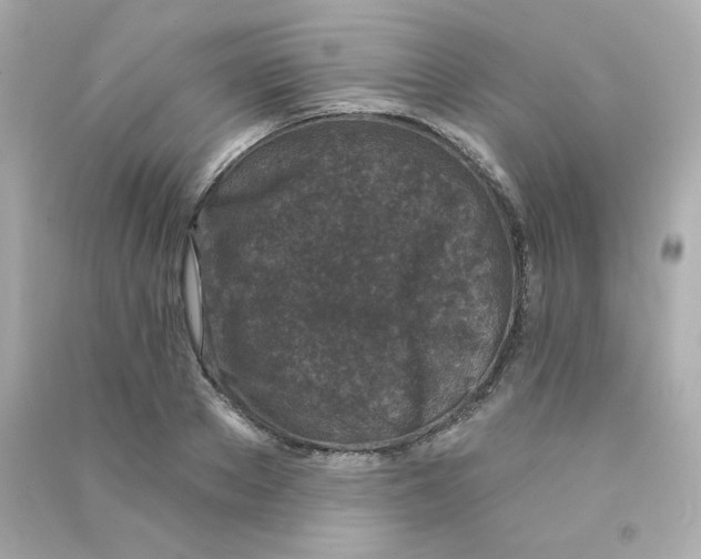 X0000090420889200708101940