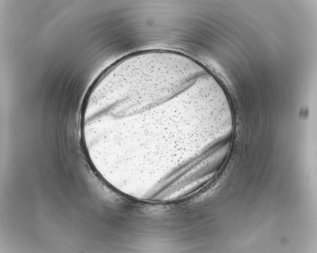 X0000090420892200708101940
