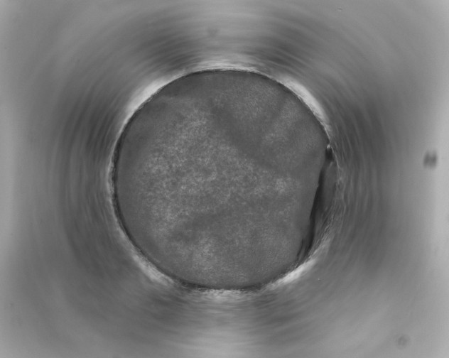 X0000090420893200708101940