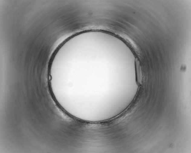 X0000090420894200708101940