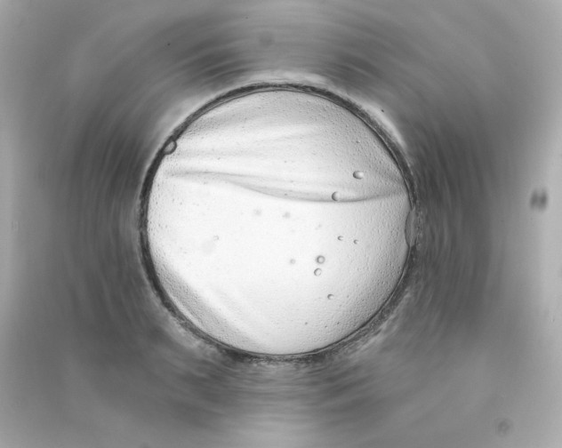 X0000090420895200708101940