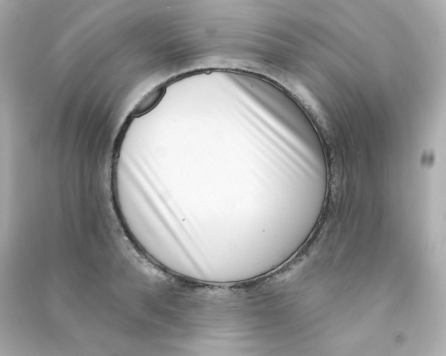 X0000090420896200708101940