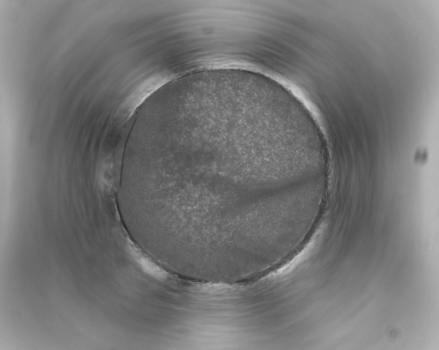 X0000090420897200708101940