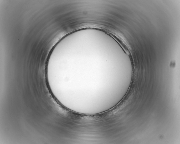 X0000090420898200708101940