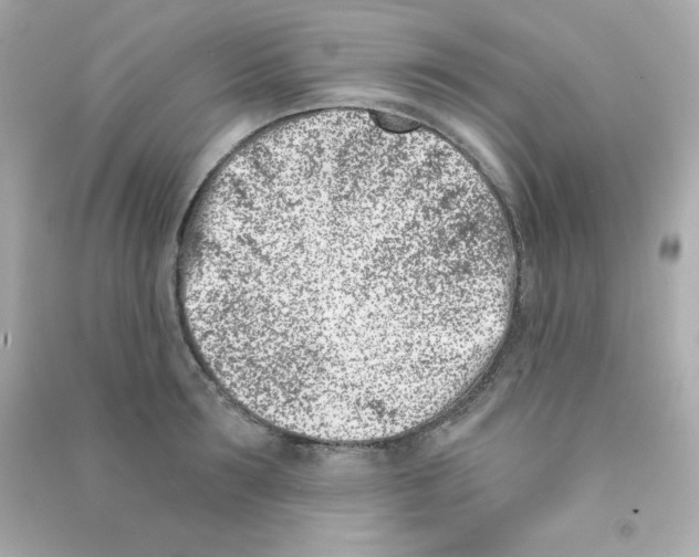 X0000090420899200708101940