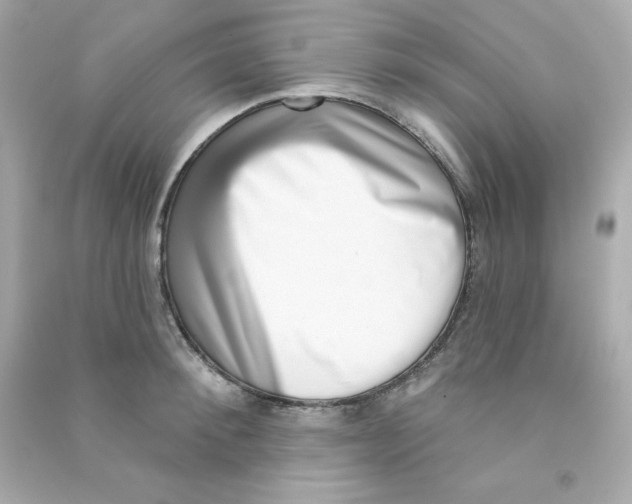 X0000090420900200708101940