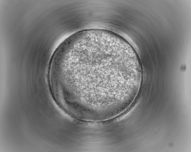 X0000090420901200708101940
