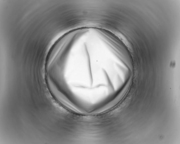 X0000090420904200708101939