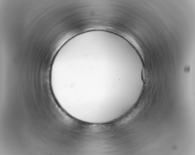 X0000090420906200708101939