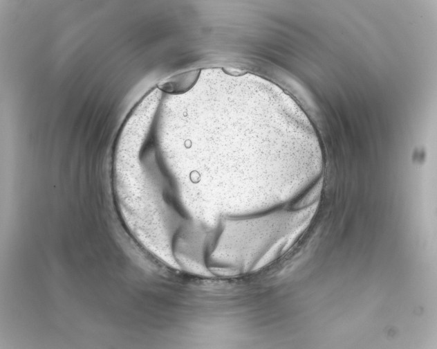 X0000090420907200708101939
