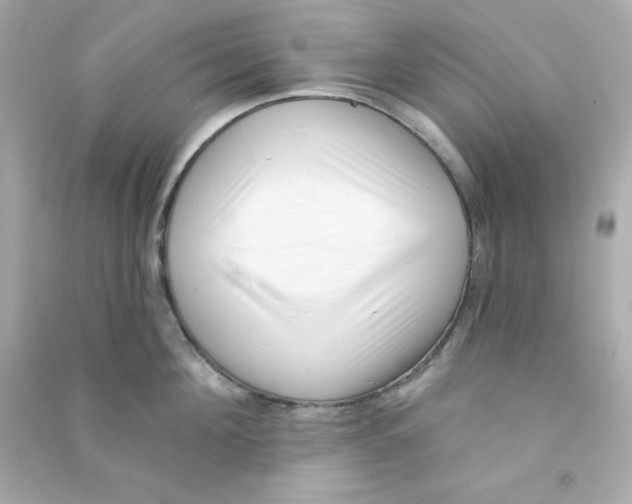 X0000090420908200708101939
