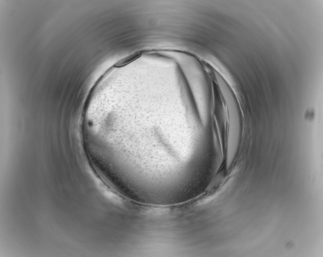 X0000090420909200708101939