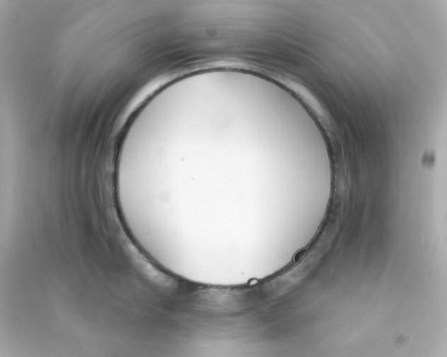 X0000090420910200708101939
