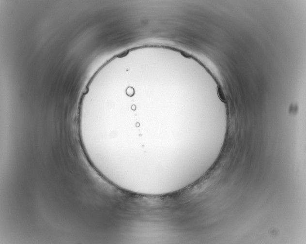 X0000090420911200708101939