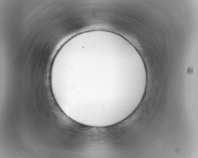 X0000090420912200708101939