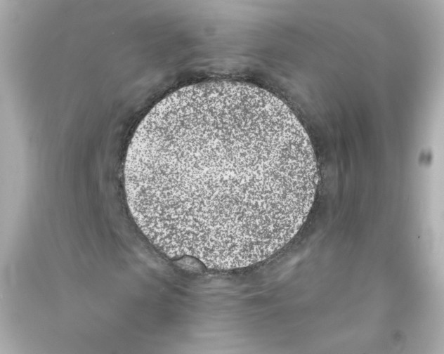 X0000090420913200708101939