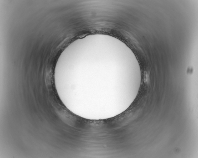 X0000090420915200708101939
