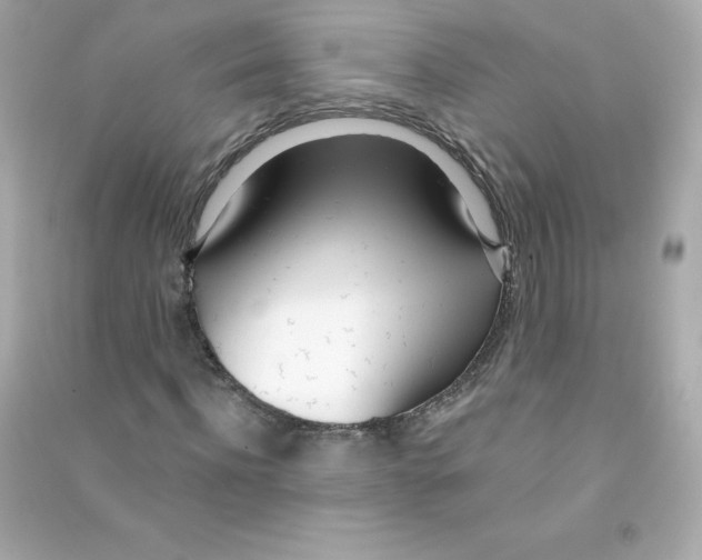 X0000090420916200708101939