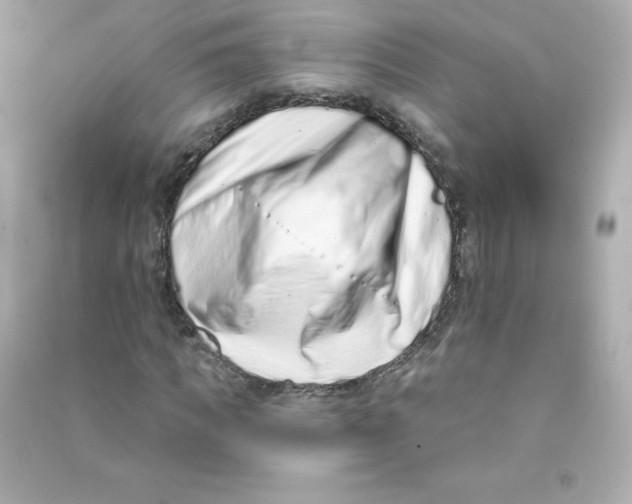 X0000090420917200708101939