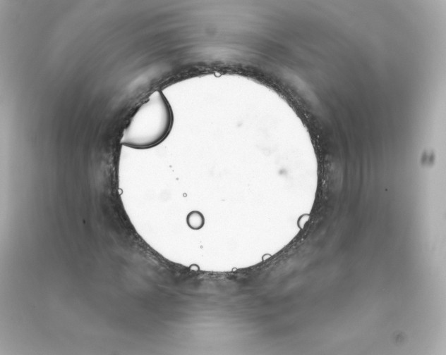 X0000090420918200708101939