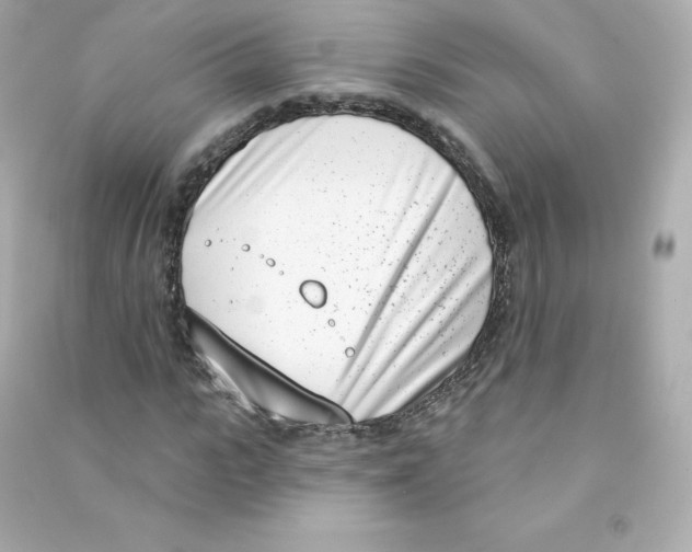 X0000090420919200708101939