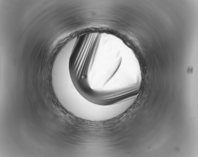 X0000090420920200708101939