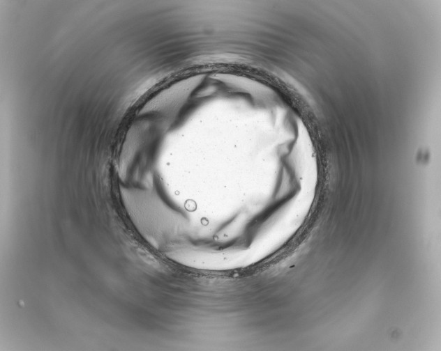 X0000090420921200708101939