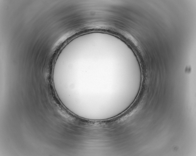 X0000090420922200708101939