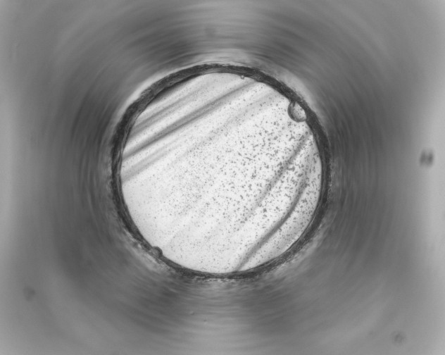 X0000090420923200708101939
