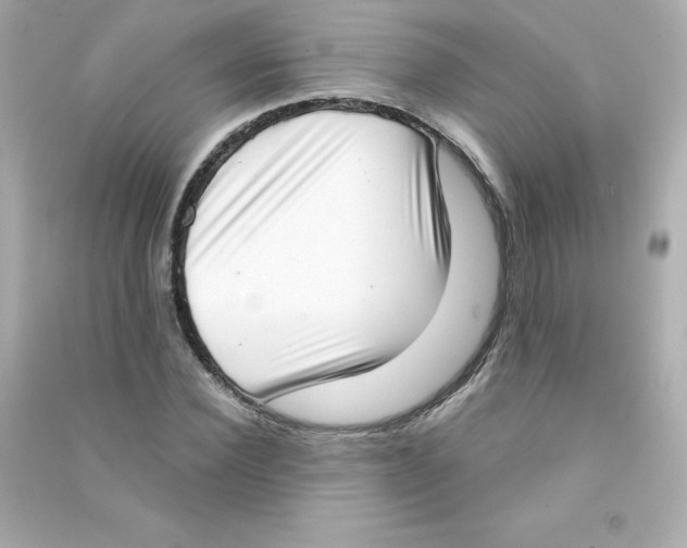 X0000090420924200708101939