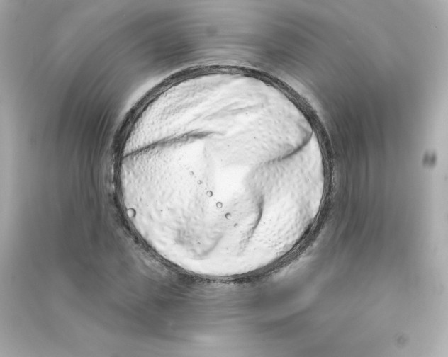 X0000090420925200708101939