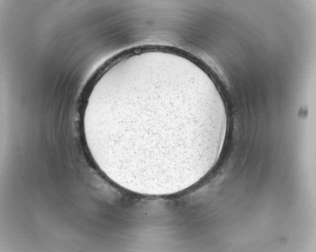 X0000090420926200708101939