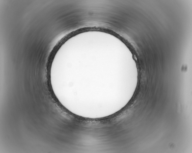 X0000090420927200708101939