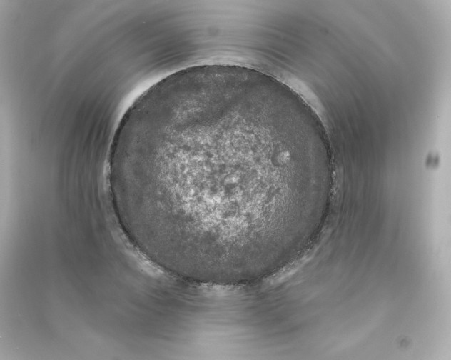 X0000090420928200708101939
