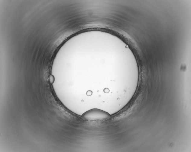 X0000090420929200708101939