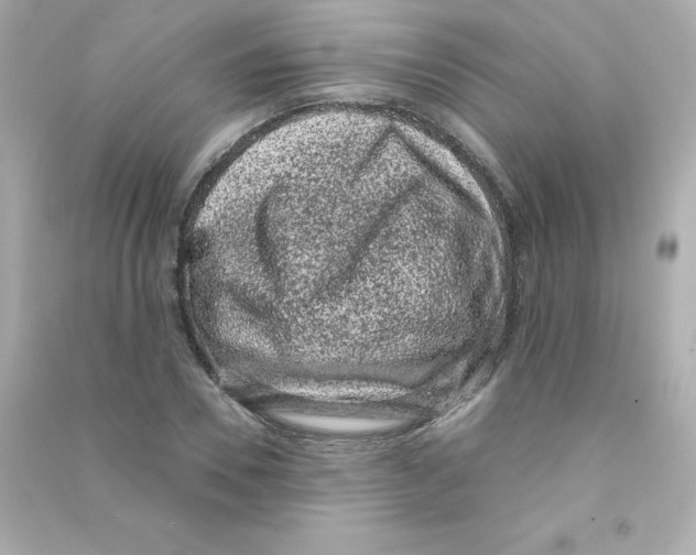 X0000090420930200708101939