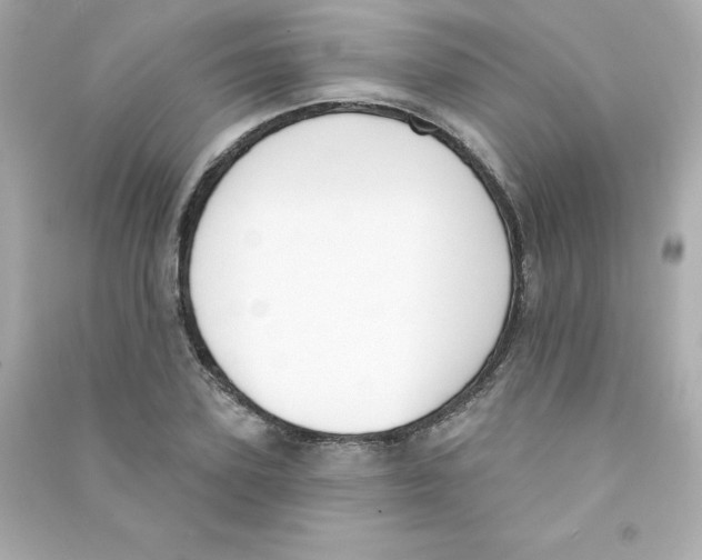 X0000090420931200708101939