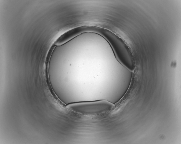 X0000090420932200708101939