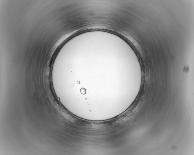 X0000090420933200708101939