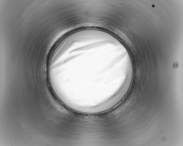 X0000090420934200708101939