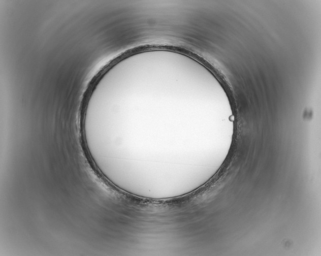 X0000090420935200708101939