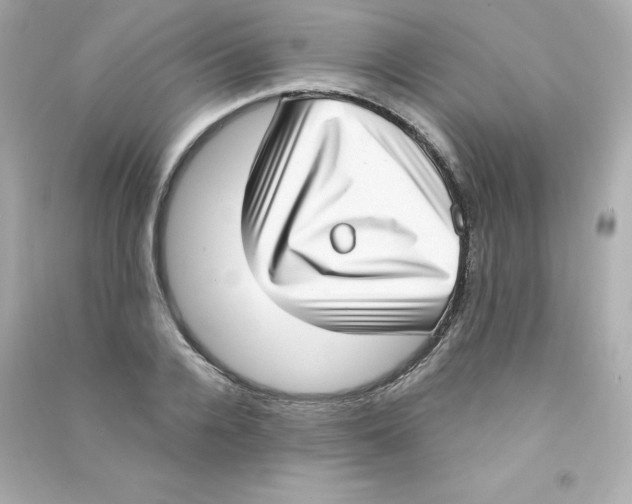 X0000090420936200708101939