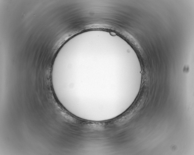 X0000090420937200708101939