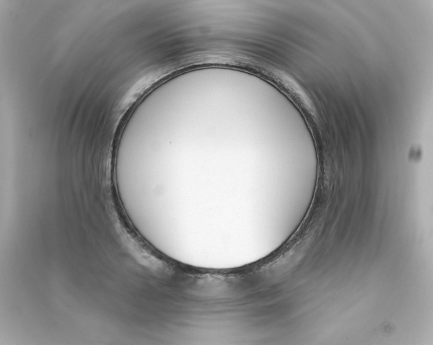 X0000090420938200708101939