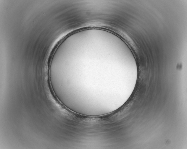 X0000090420939200708101939