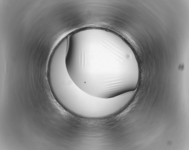 X0000090420940200708101939