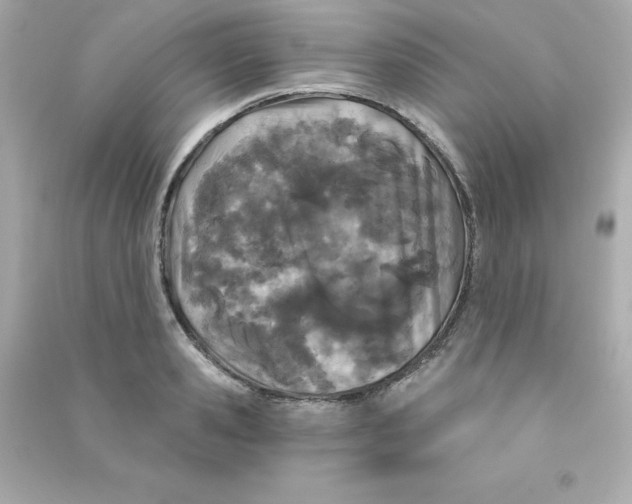 X0000090420941200708101939