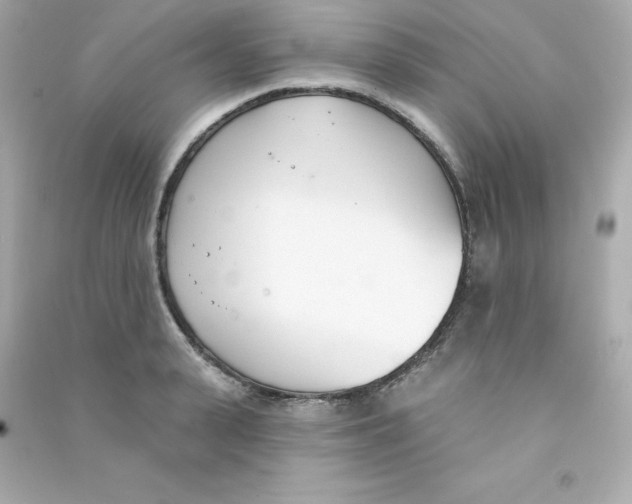 X0000090420943200708101939